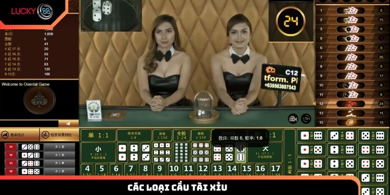 các loại cầu tài xỉu