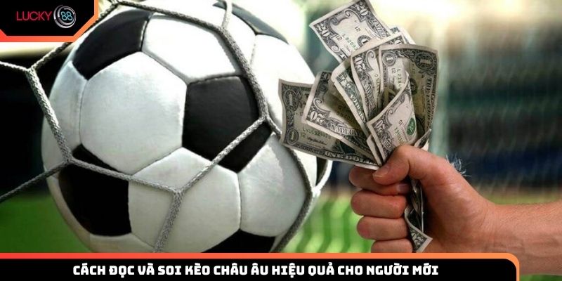 Cách đọc và soi kèo châu Âu hiệu quả cho người mới