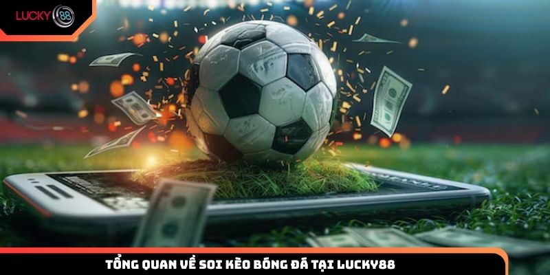 Giới thiệu tổng quan về soi kèo bóng đá tại Lucky88