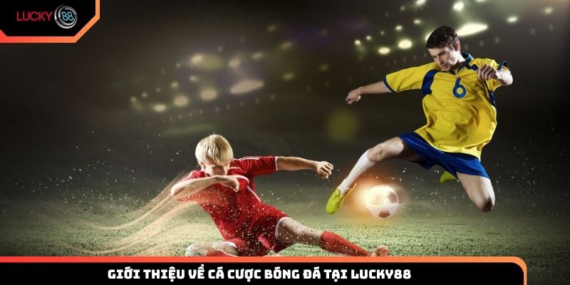 Giới thiệu về cá cược bóng đá tại Lucky88