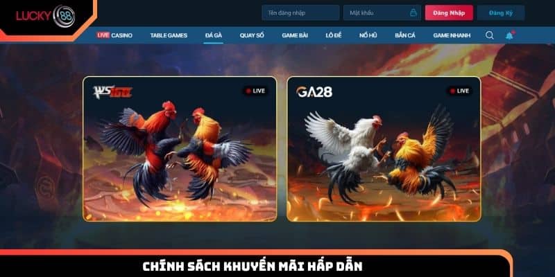 Chính sách khuyến mãi hấp dẫn chỉ dành cho thành viên Lucky88