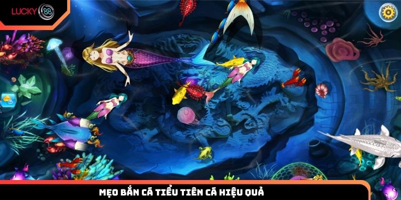 Mẹo bắn cá Tiểu Tiên Cá hiệu quả từ cao thủ LUCKY88